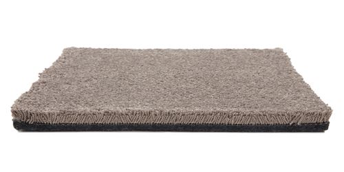 One And Only Plush Carpet