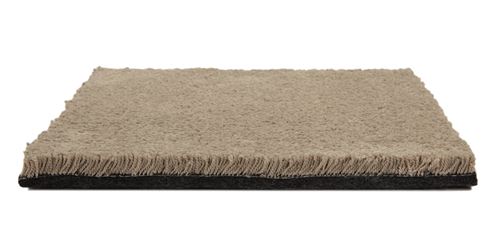 One And Only Plush Carpet