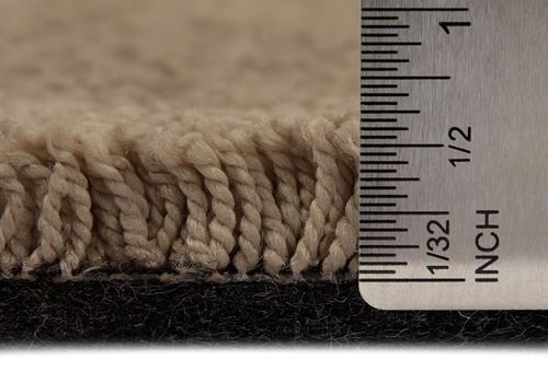 One And Only Plush Carpet