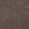 One and Only Plush Carpet