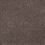One And Only Matchless Carpet