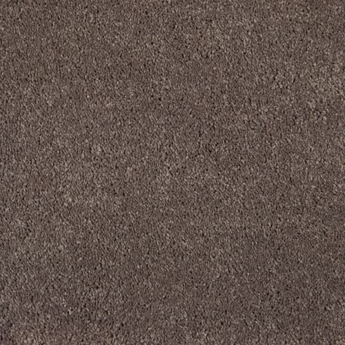 One And Only Plush Carpet