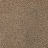 One and Only Plush Carpet