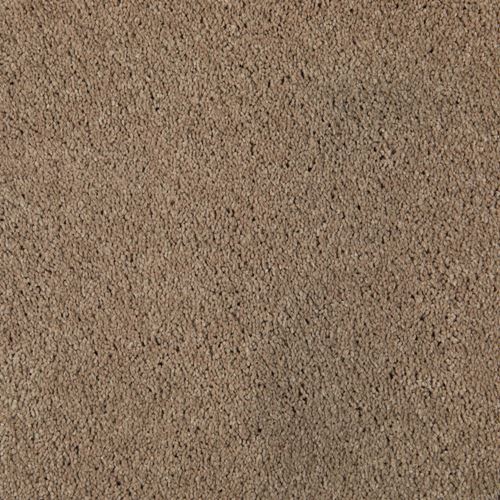 One And Only Plush Carpet