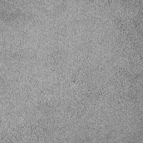 One And Only Plush Carpet