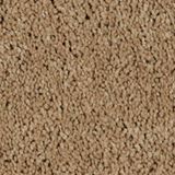 One And Only Color Above All