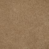 One And Only Above All Carpet