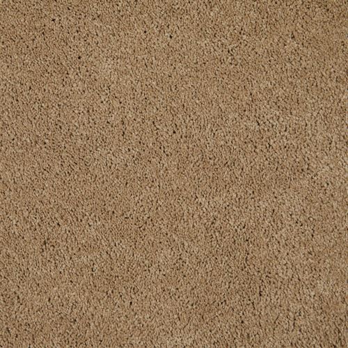 One And Only Plush Carpet