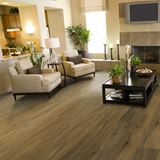Sterling Hill Landform Vinyl