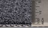 Tenbrooke II Black Sable Carpet