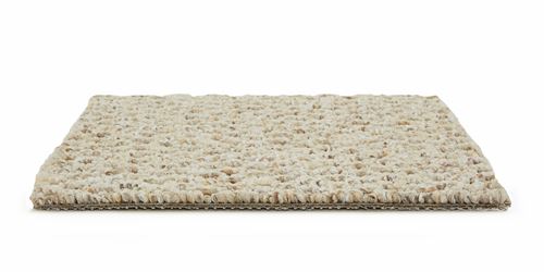 Trenton Berber Carpet