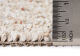 Trenton Windswept Carpet