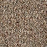 Trenton Windswept Carpet
