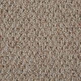 Trenton Adobe Sand Carpet
