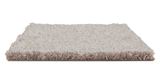 Impress Enliven Carpet
