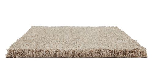Impress Plush Carpet
