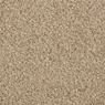 Impress Plush Carpet