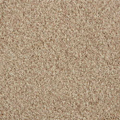 Impress Plush Carpet
