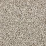 Impress Enliven Carpet