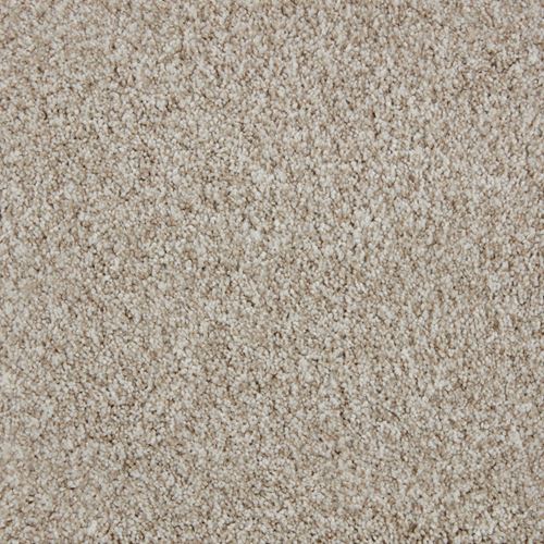 Impress Plush Carpet