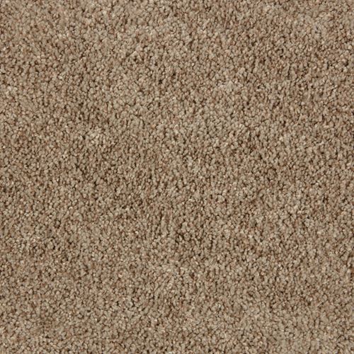 Impress Plush Carpet