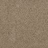 Impress Plush Carpet