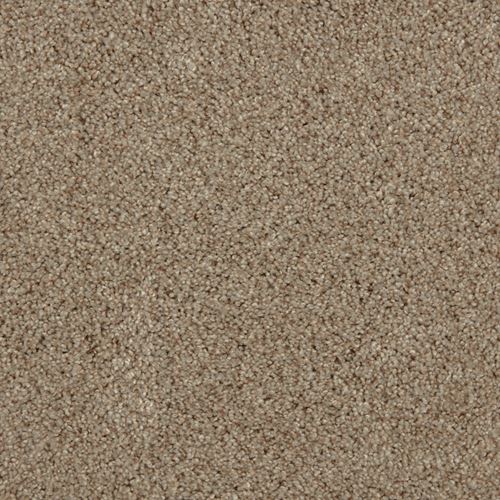 Impress Plush Carpet