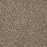 Impress Plush Carpet
