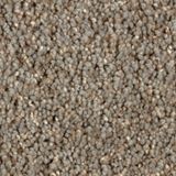 Impress Color Bewilder