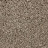 Impress Bewilder Carpet