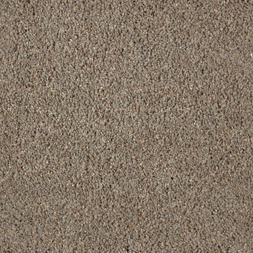 Impress Plush Carpet