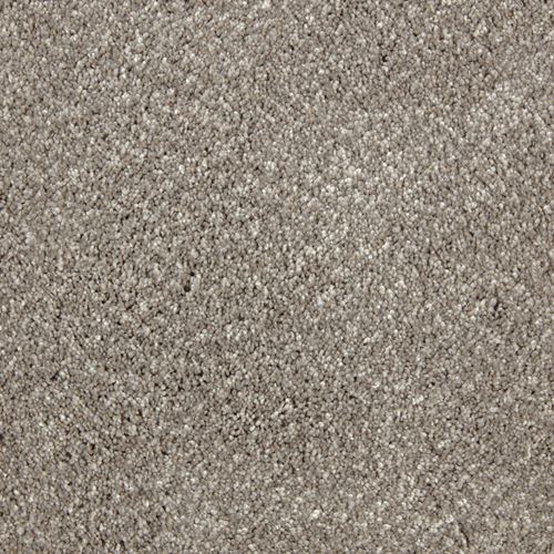 Impress Plush Carpet