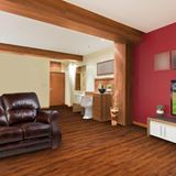 Vallette Acacia Samba Brown Vinyl