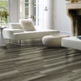 Northbrook Pavilion Vinyl