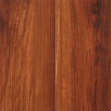 Alliance Color Acacia Samba Brown