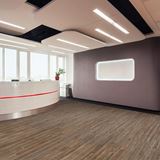 Alliance History Oak Anise Vinyl