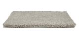 Allure Attraction Carpet