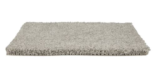 Allure Plush Carpet