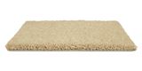 Allure Captivate Carpet