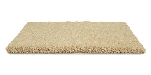 Allure Plush Carpet