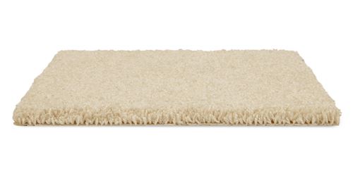 Allure Plush Carpet