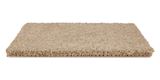 Allure Enchanting Carpet