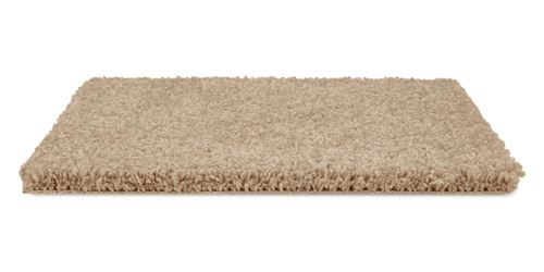 Allure Plush Carpet