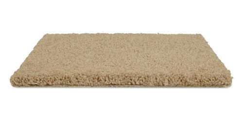 Allure Plush Carpet