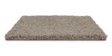 Allure Intrigue Carpet