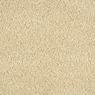 Allure Plush Carpet