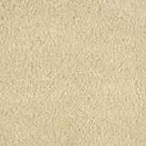 Allure Charisma Carpet