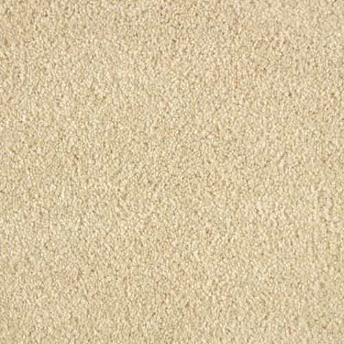 Allure Plush Carpet