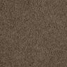 Allure Plush Carpet