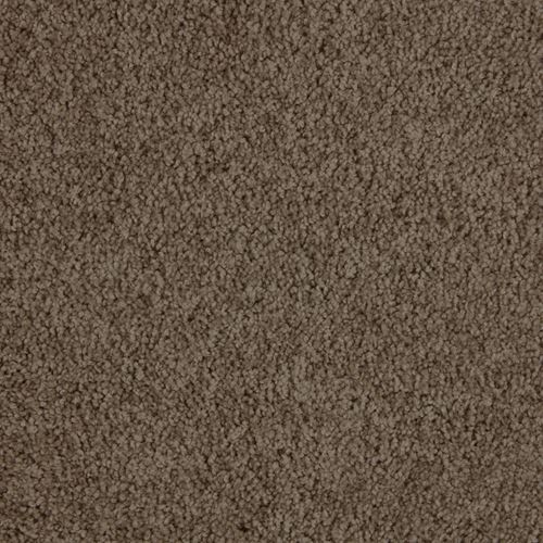 Allure Plush Carpet